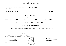 Diplom1